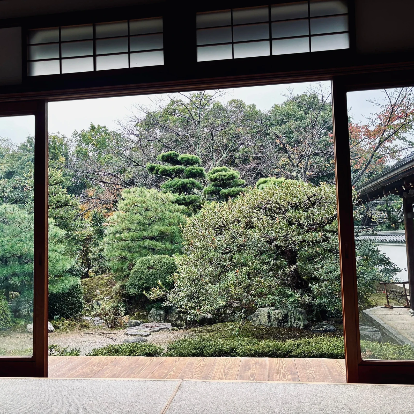 Experiencia zen en Kioto con zazen, matcha y templo histórico