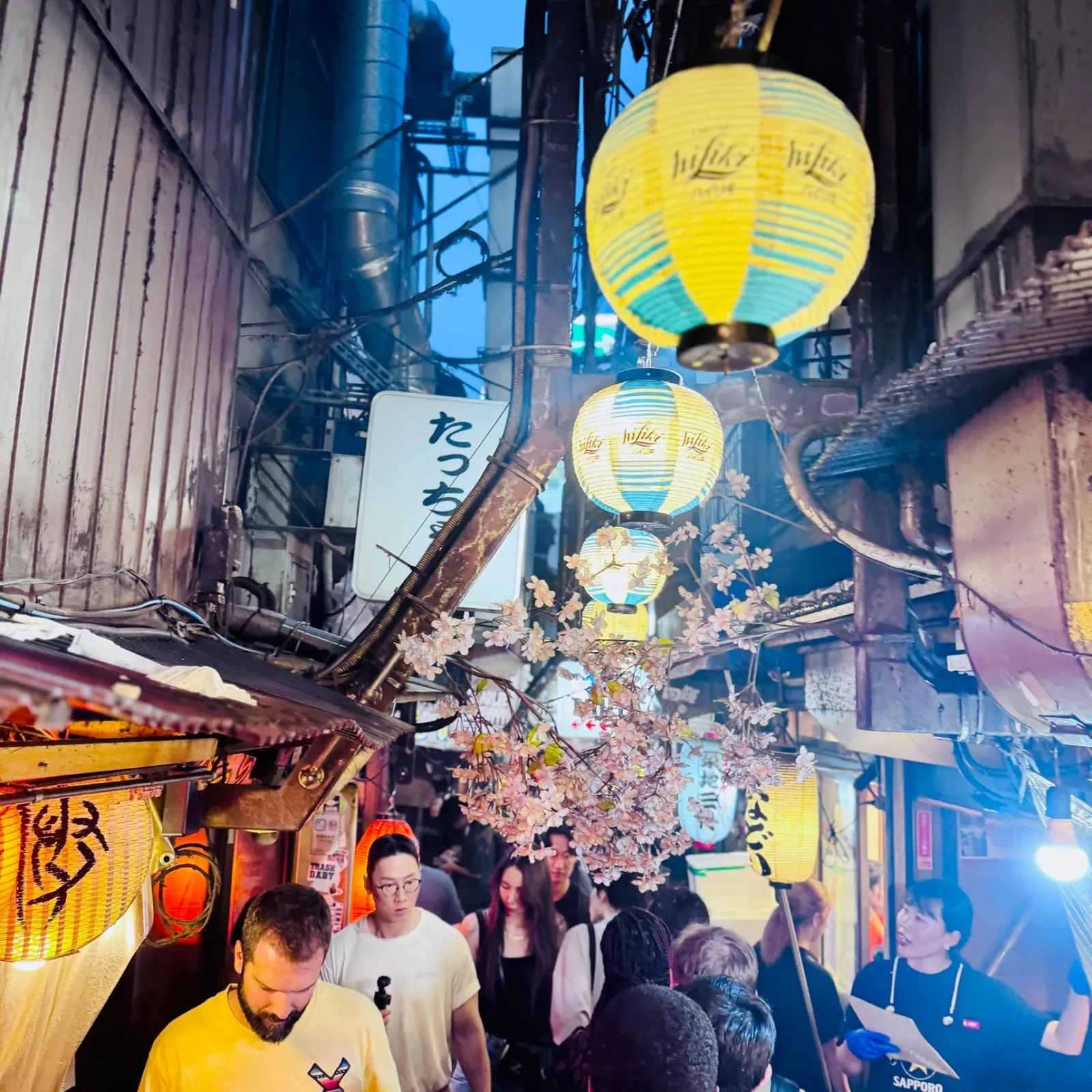 Shinjuku food tour: 13 Japanese tastes under Tokyo’s neon lights