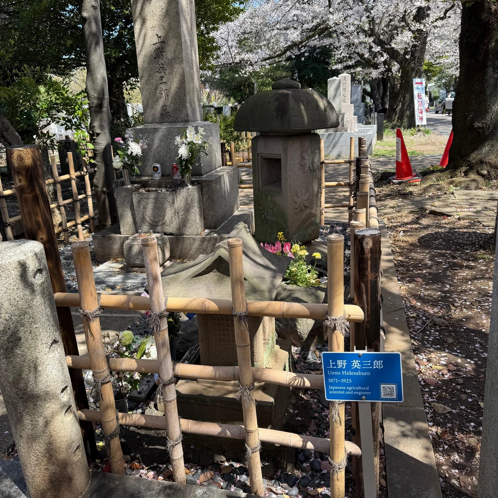 Tokyo Bike Tour: 3-Hour City Highlights by Bike or E-Bike