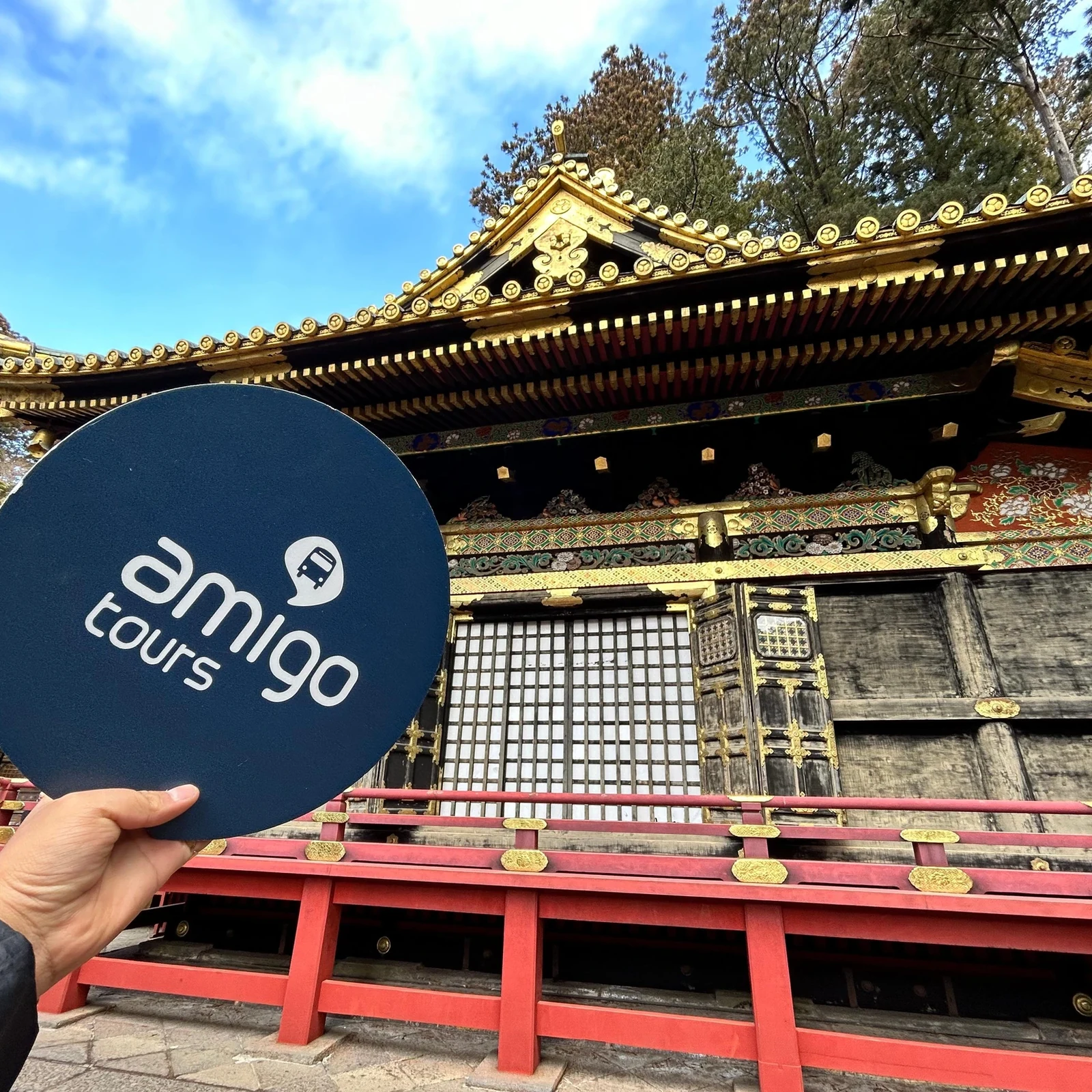 Nikko Day Trip from Tokyo with Kegon Falls, Lake Chuzenji and Toshogu Temple