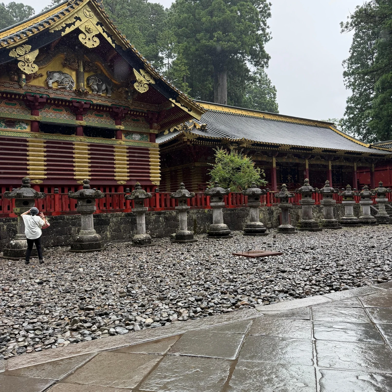 Nikko Tagesausflug ab Tokio mit Toshogu, Kegon Falls und Chuzenji-See