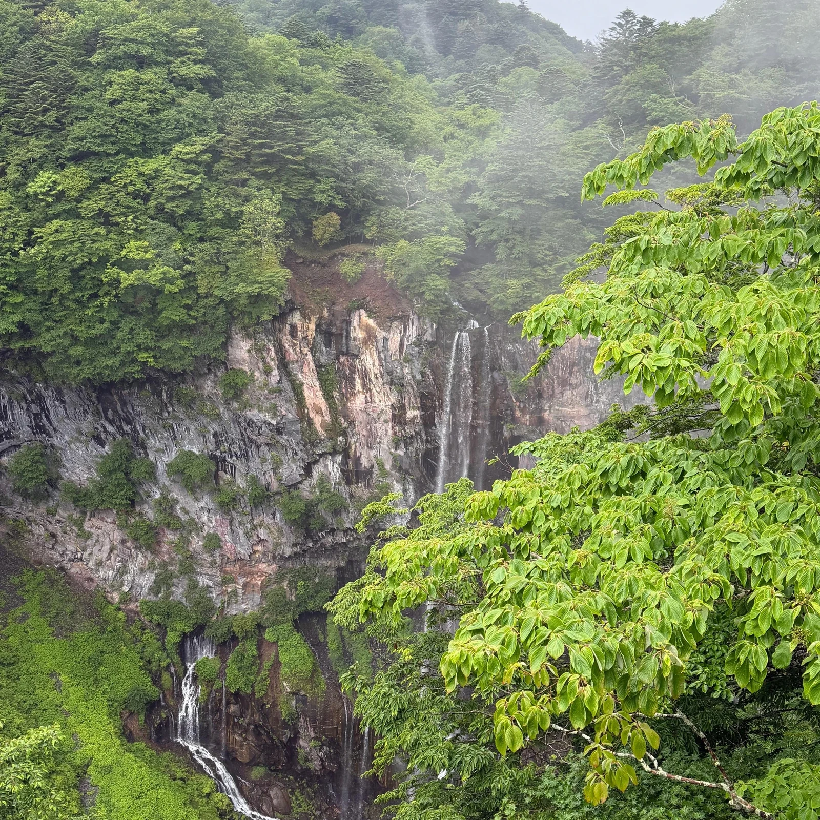Nikko Tagesausflug ab Tokio mit Toshogu, Kegon Falls und Chuzenji-See