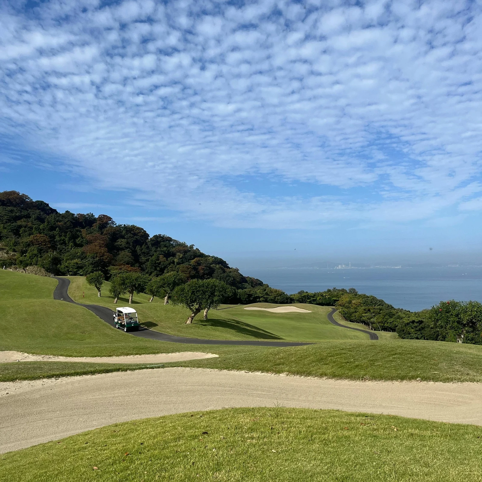 Tokyo Golf Day Trip: 18 Holes with a Local Guide