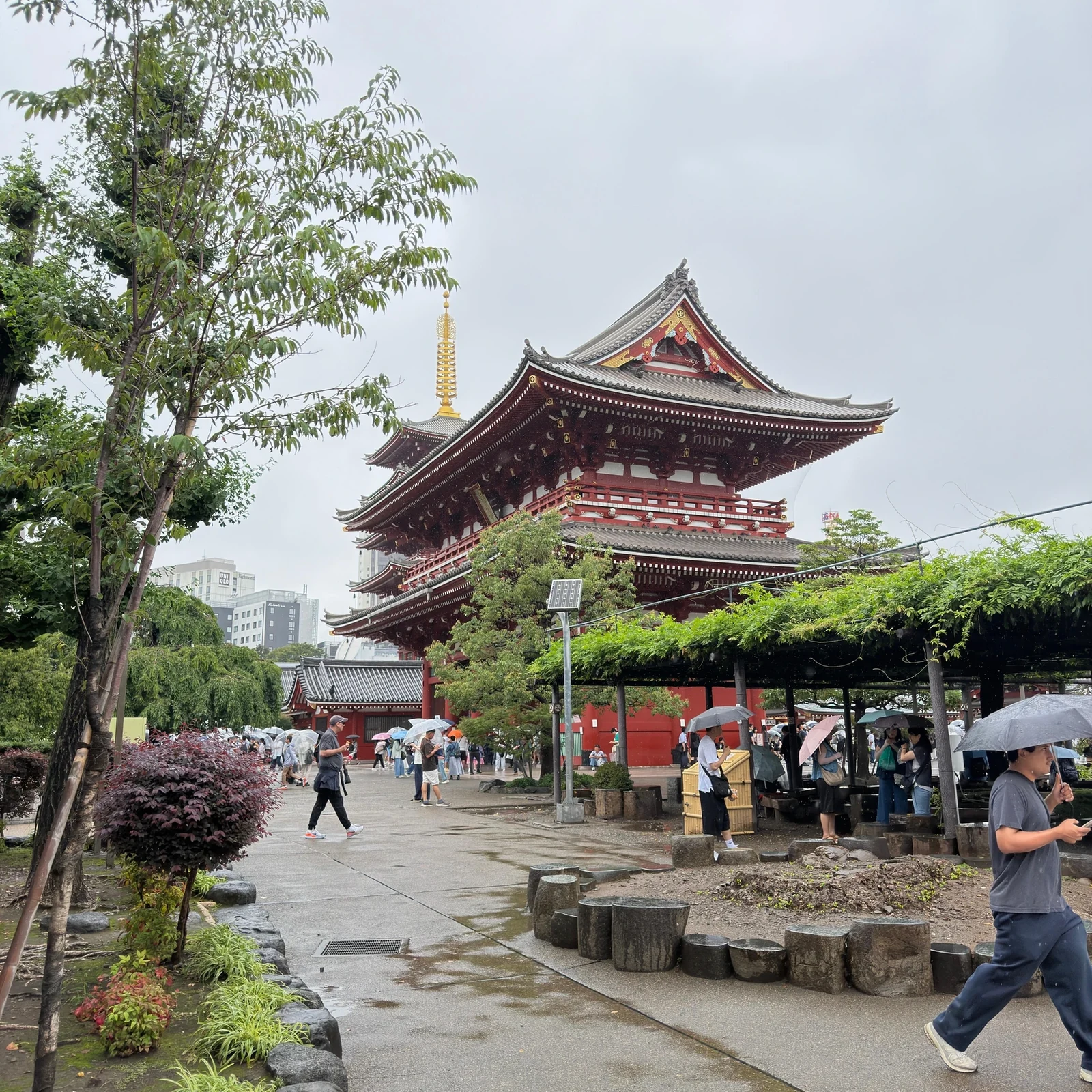 Asakusa and Senso-ji Tour in Tokyo with Guide