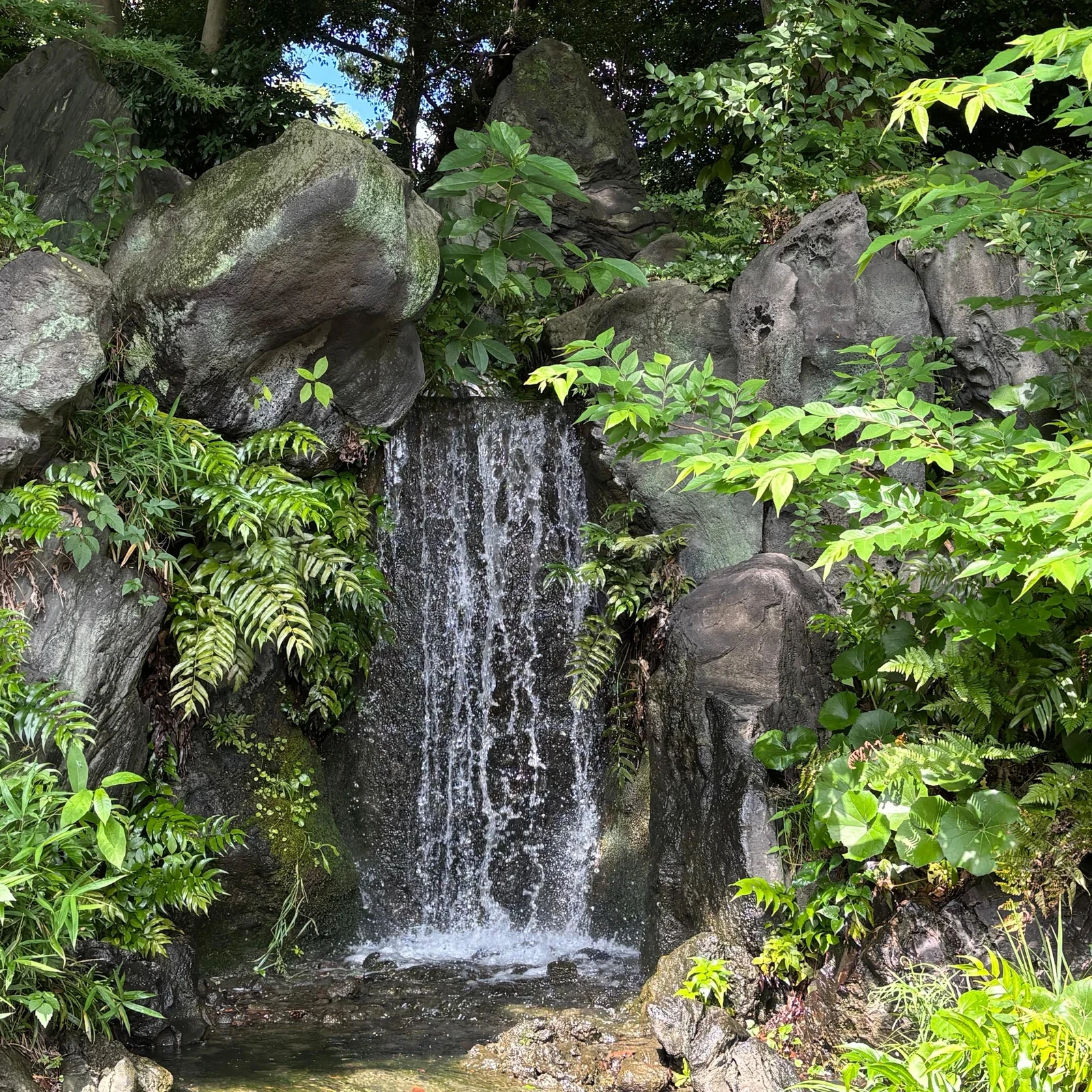 Tokyo Imperial Palace Walking Tour with Edo Castle History