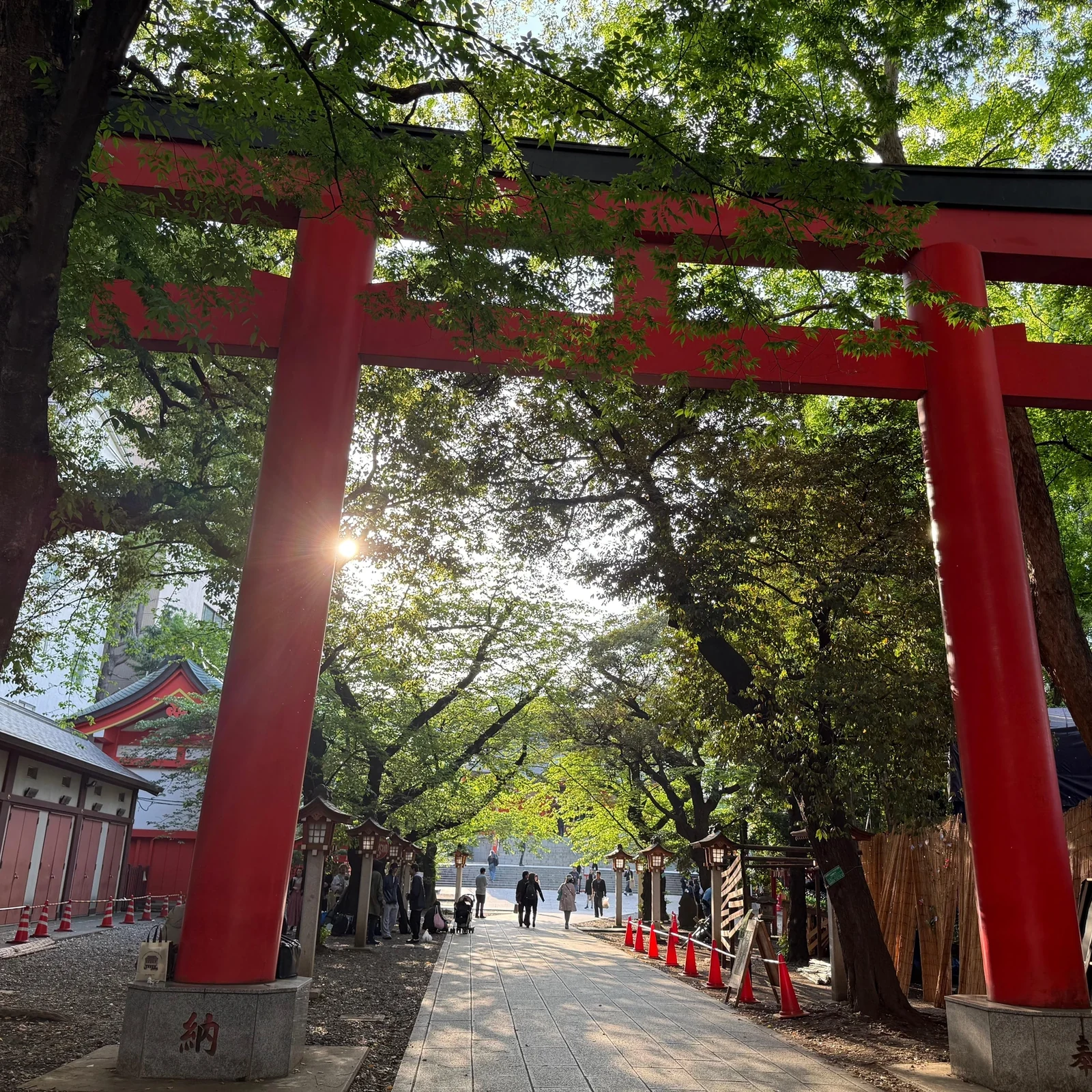 Tokyo True Crime and Ghost Stories Tour | Shinjuku at Night
