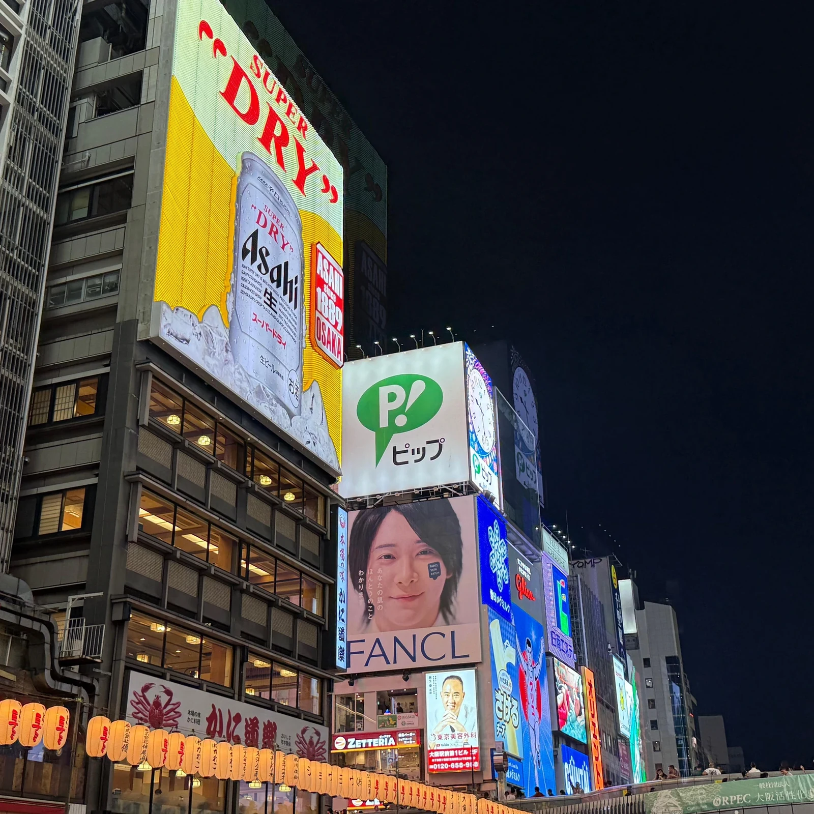 Dotonbori River Cruise in Osaka with Glico Sign Views