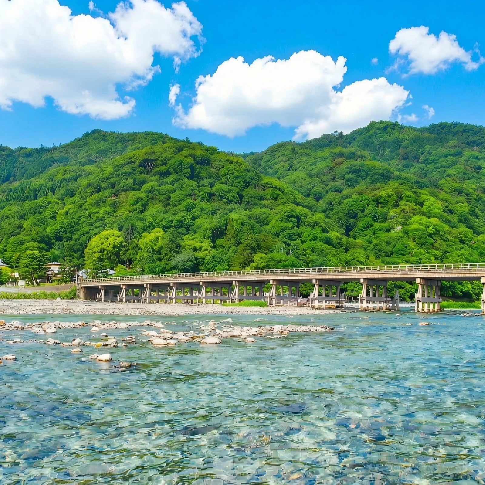 Excursion à Nara, Fushimi Inari et Arashiyama en une journée