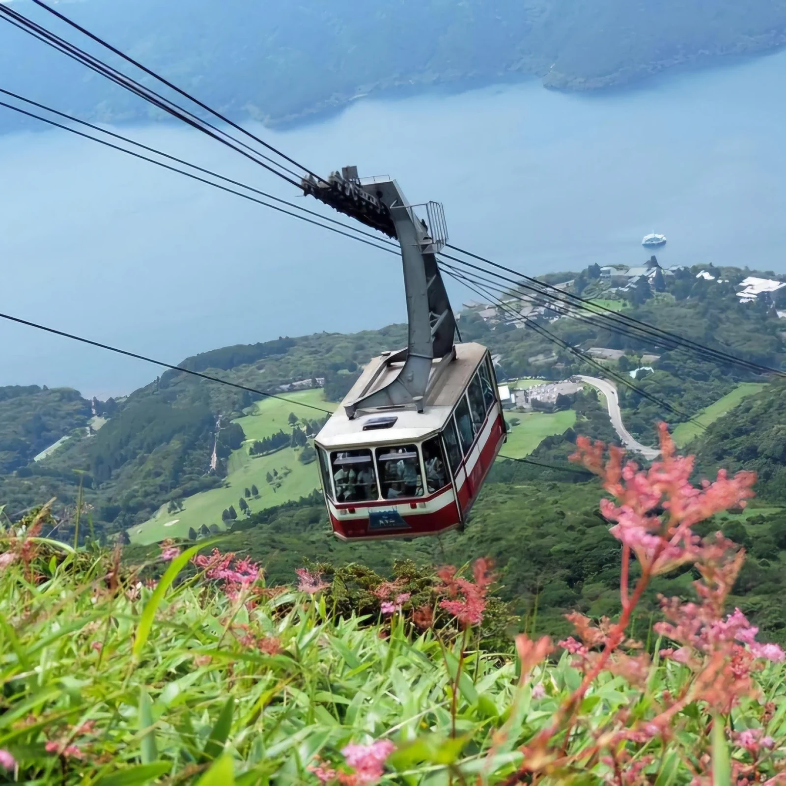 Private Tour Hiroshima und Miyajima: Geschichte, Kultur und Landschaft an einem Tag