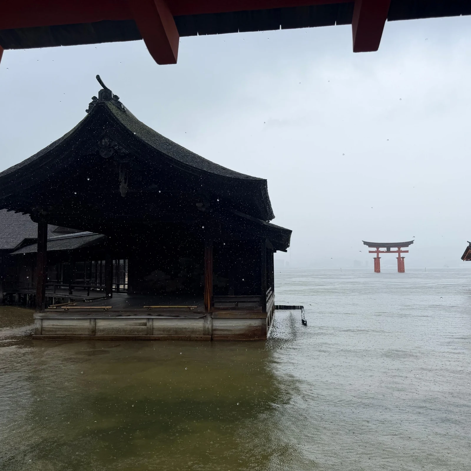 Osaka to Hiroshima and Miyajima Bullet Train Tour