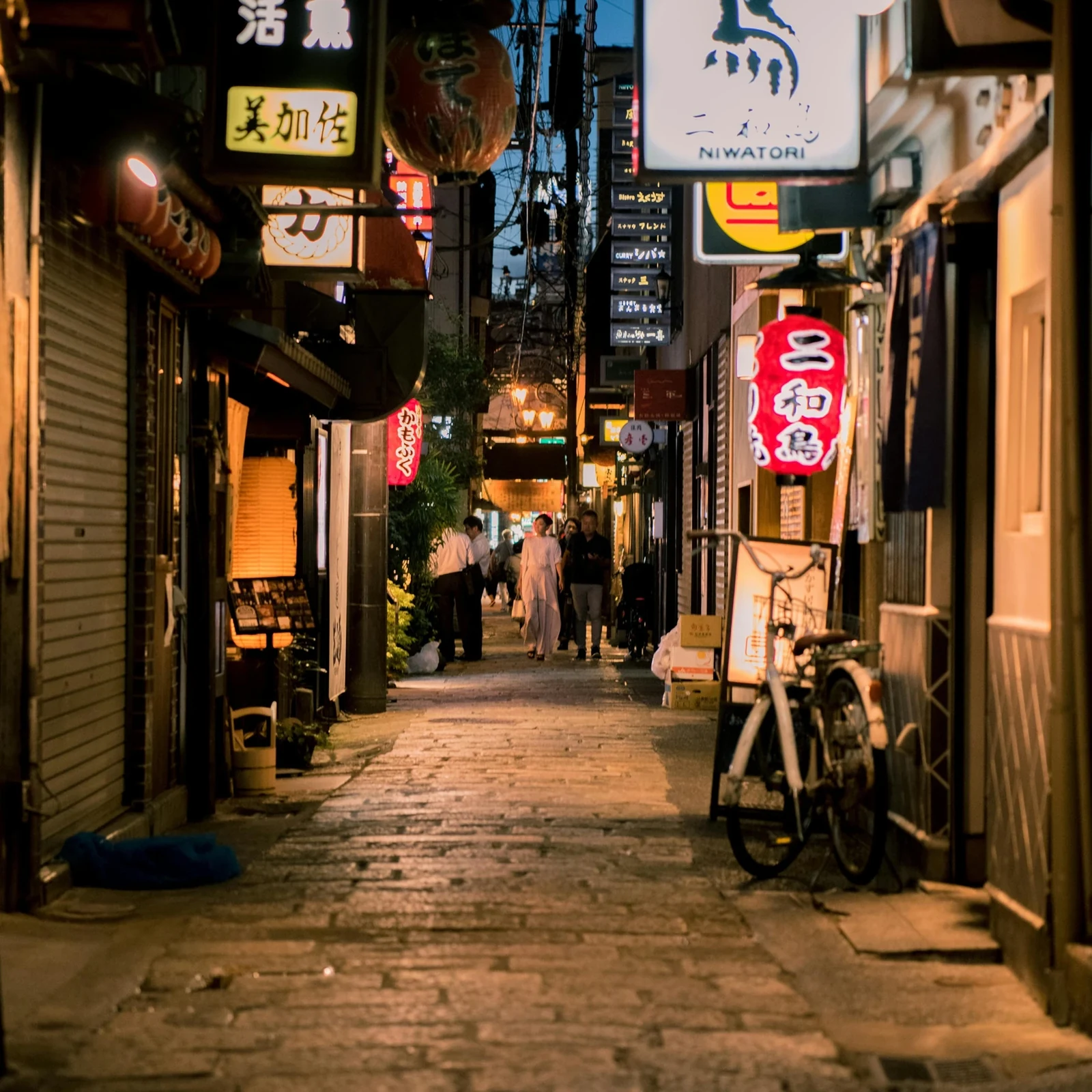 Private Osaka Car Tour at Your Own Pace
