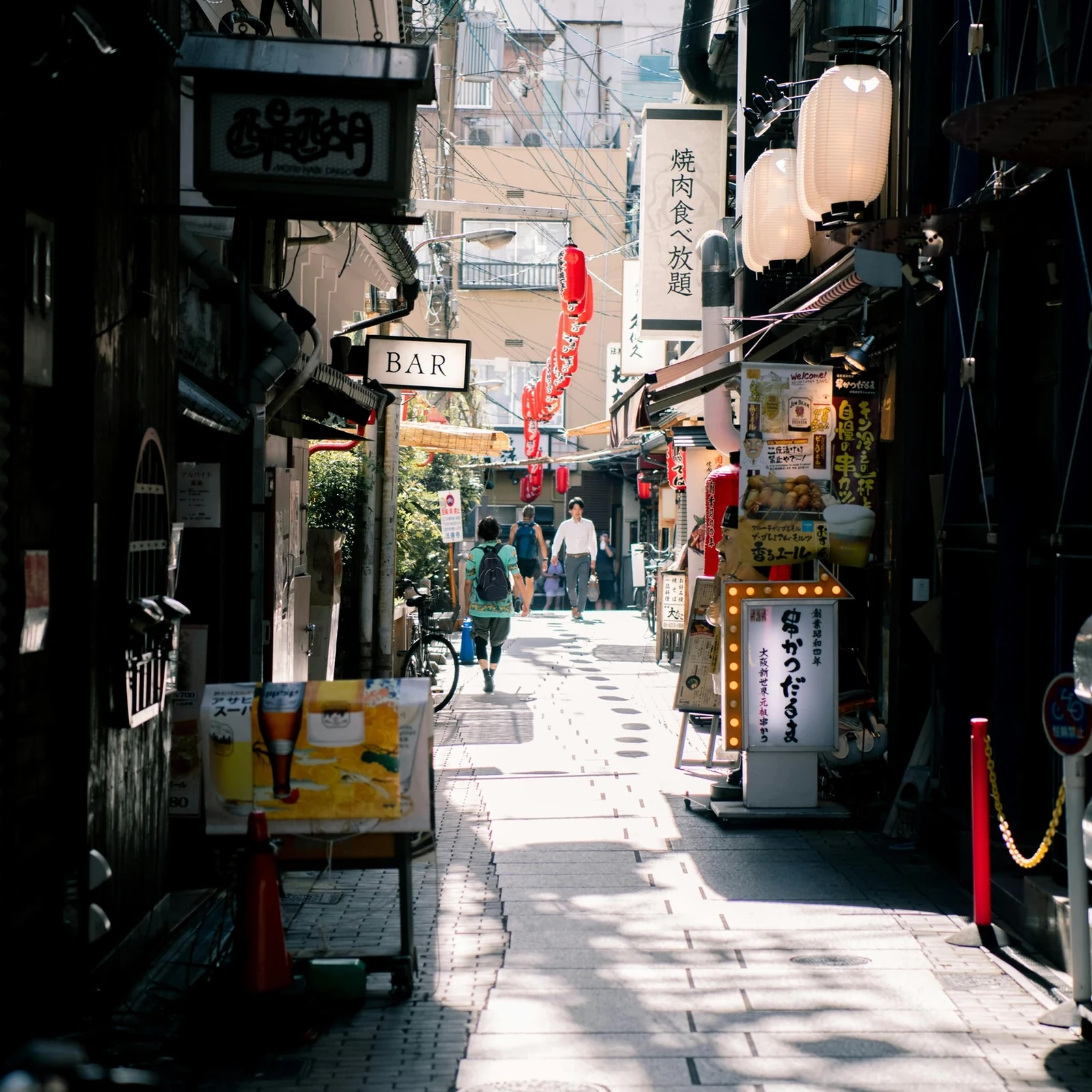 Private Osaka Car Tour at Your Own Pace