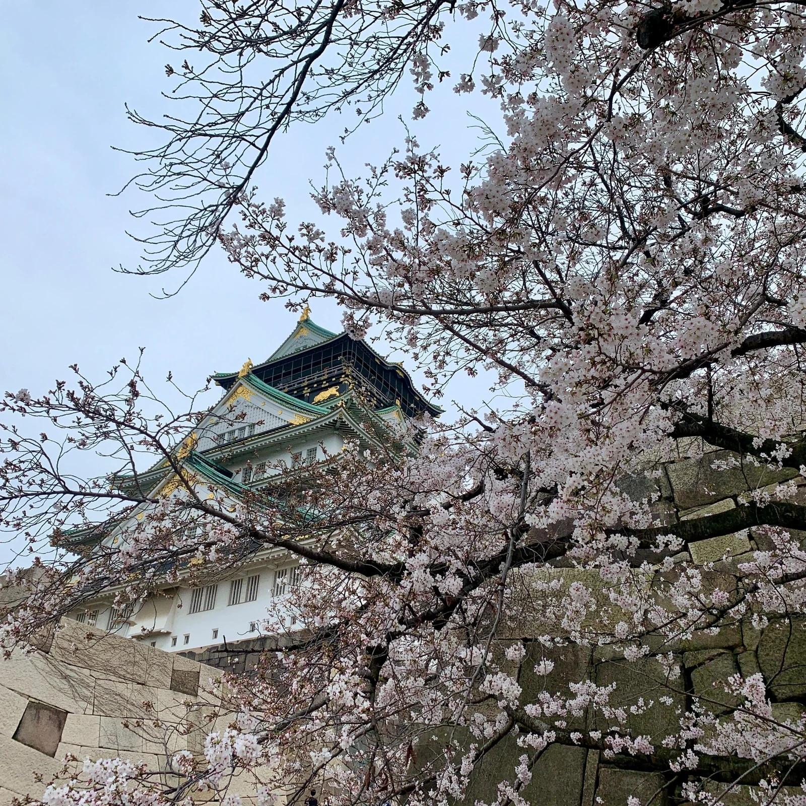 Osaka Walking Tour with a Local Guide and Castle Admission