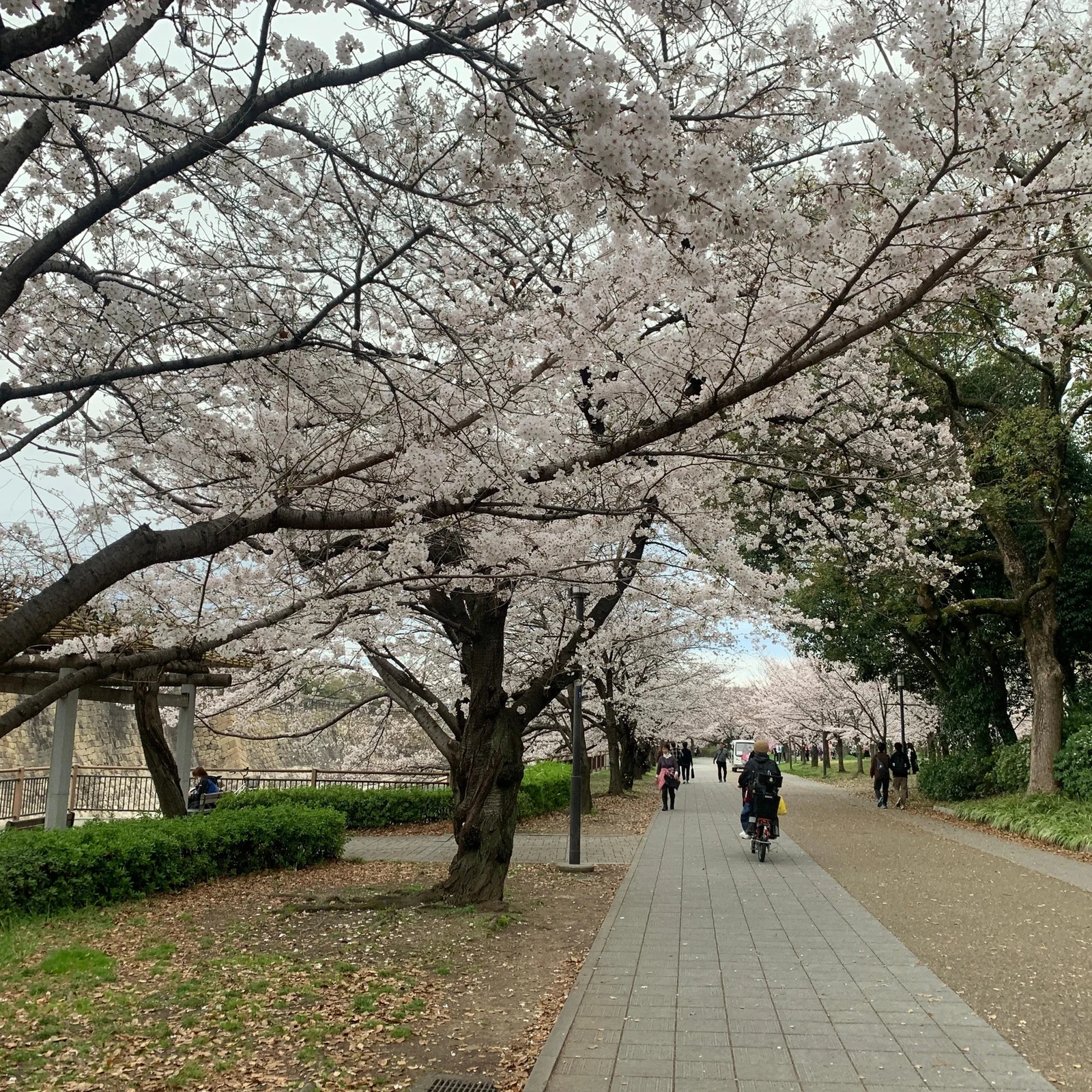 Osaka Walking Tour: From the Castle to Dotonbori