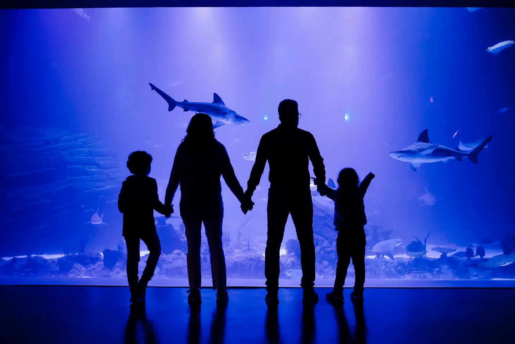 Madrid: Atlantis Aquarium Entry Ticket
