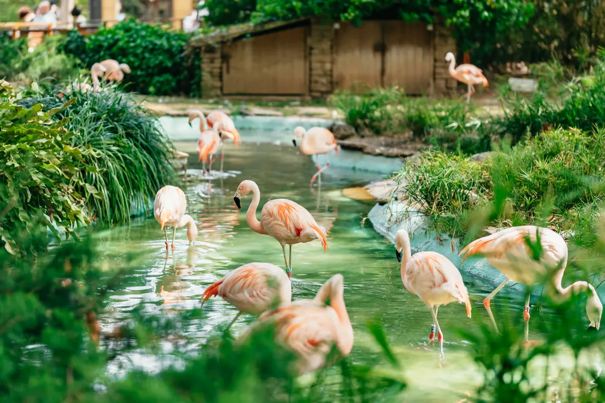 Barcelona Zoo tickets: 1-day skip-the-line entry with QR