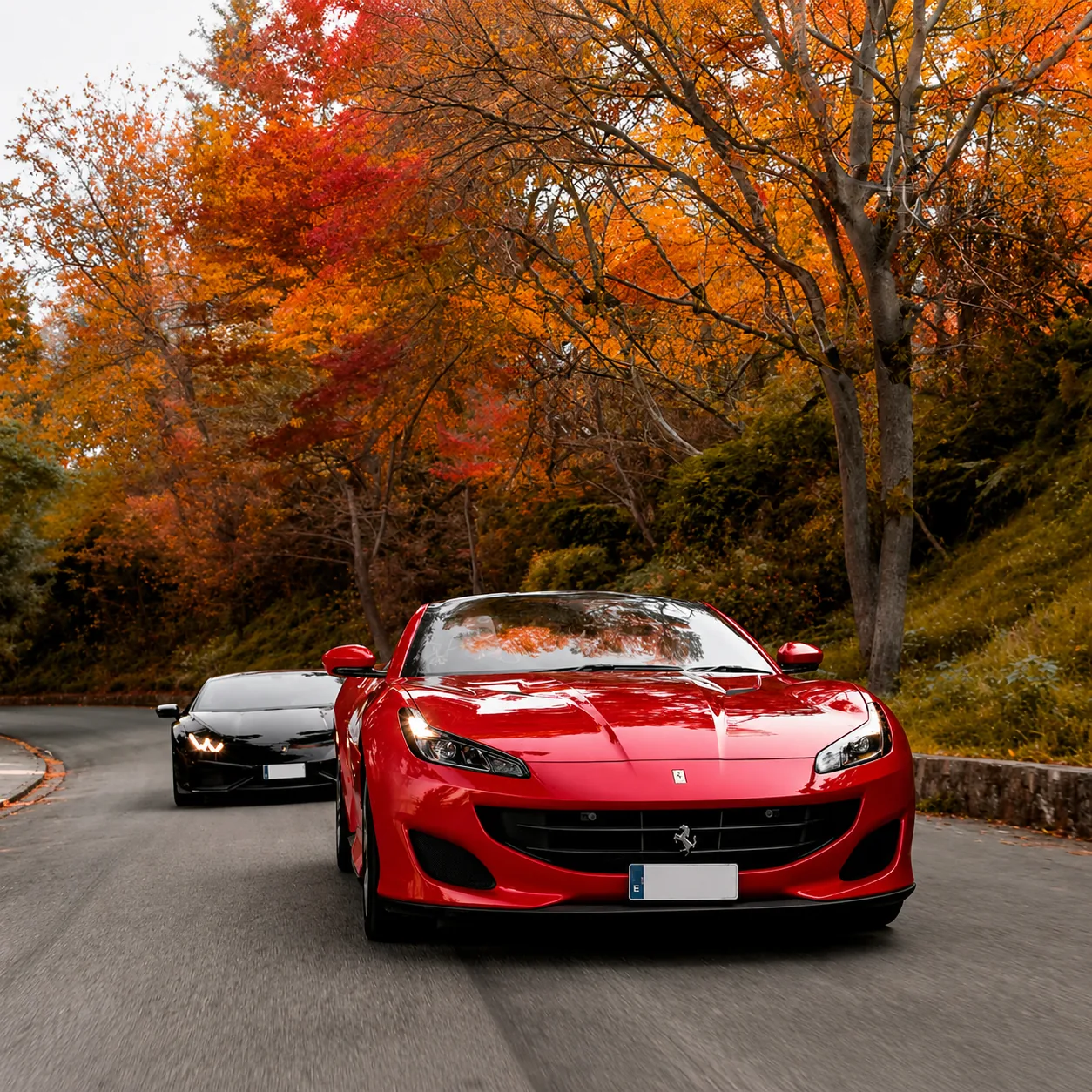 Supercar driving tour Barcelona on the Montjuïc F1 circuit