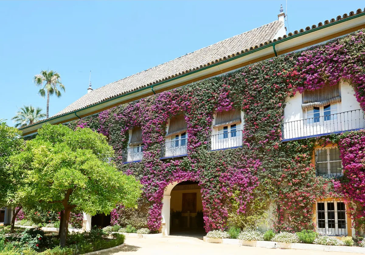 Palacio de las Dueñas Sevilla Eintritt mit App-Guide