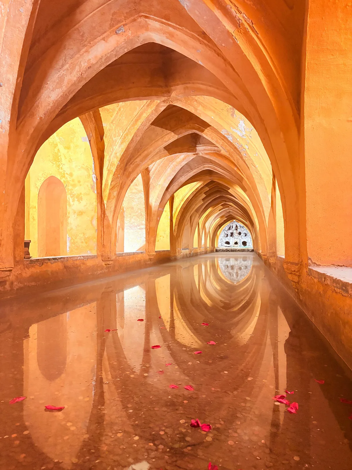 Seville Cathedral, Giralda and Alcazar tour with priority access